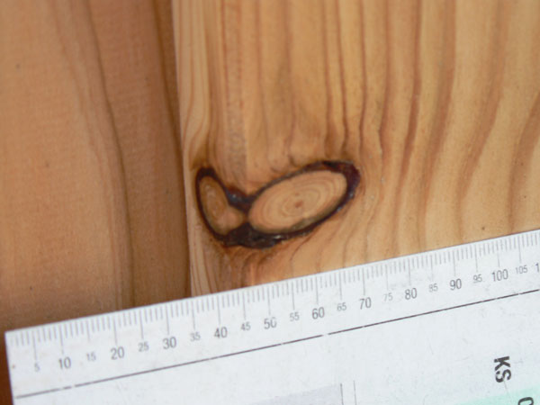 Begutachtung Holzschalung Kinderhort St. Mang, Kempten