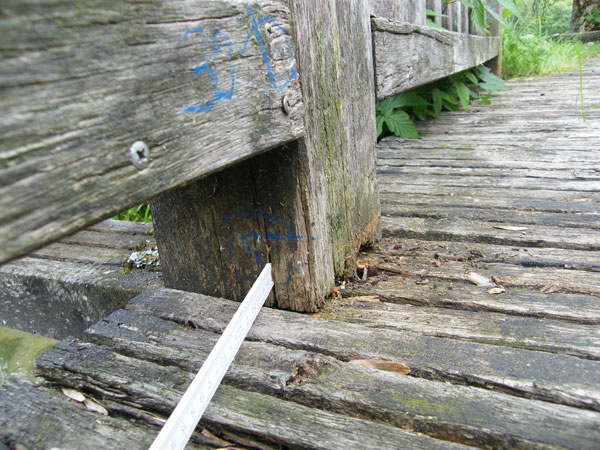 Orientierende Bohrwiderstandsmessungen an 3 Holzbrücken