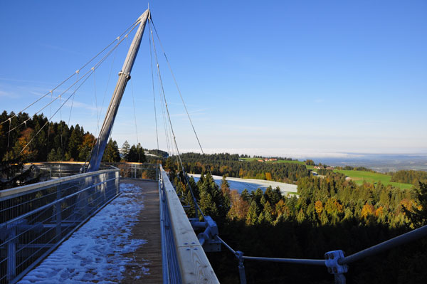 Baumgipfelabenteuer Westallgäu