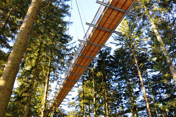 Baumgipfelabenteuer Westallgäu