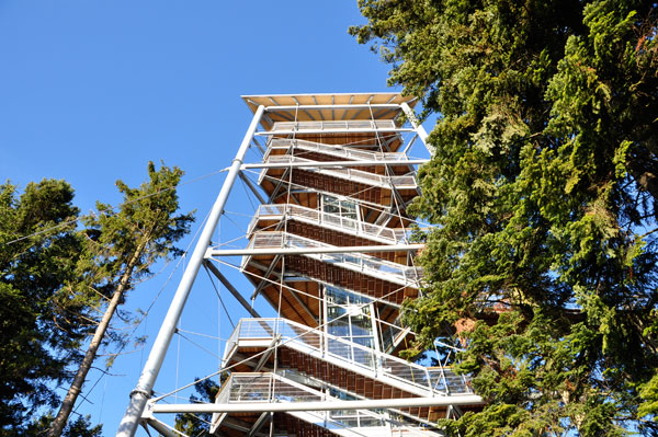 Baumgipfelabenteuer Westallgäu