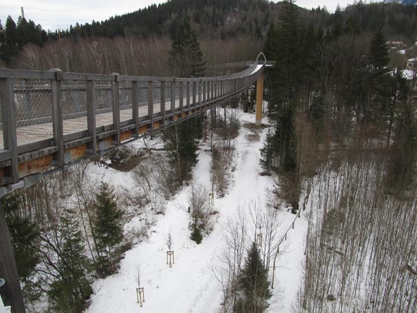 Neubau eines Baumkronenweges als Holzbrückenwerk in Füssen