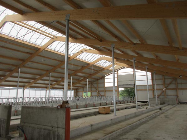 Neubau eines Milchviehlaufstalles in Memmenhausen, Erdle