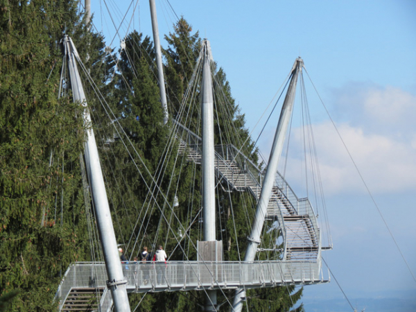 Baumwipfelabenteuer Westallgäu, Bauwerksprüfung 2016 (skywalk)